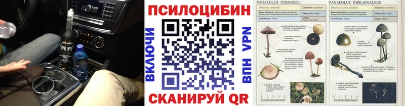Псилоцибиновые грибы ЛСД  Волжск 